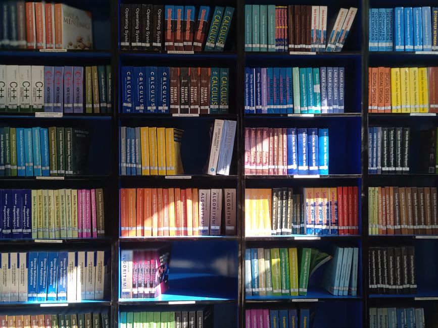A vibrant library bookshelf displaying a range of educational books organized by subject.