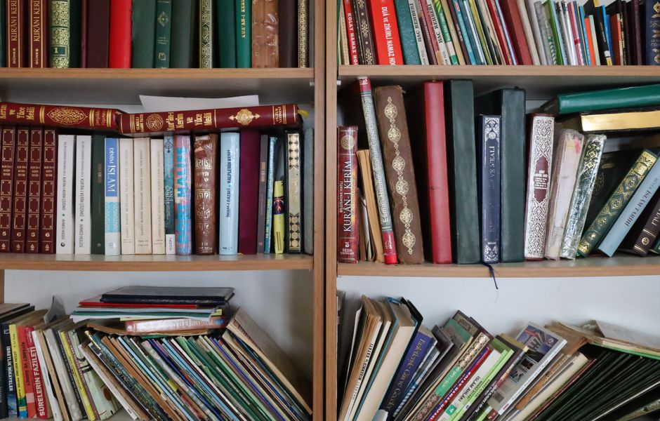 A vibrant library bookshelf displaying a range of educational books organized by subject.